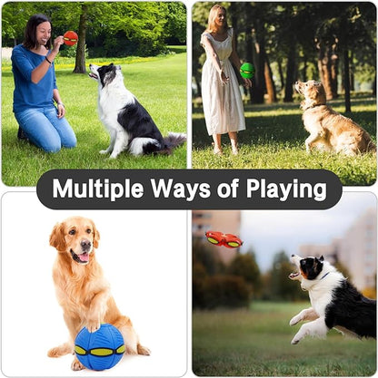 Pet Flying Saucer Ball Interactive Toys - Waive Savy Pets