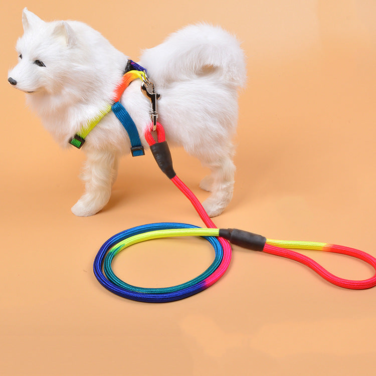 Colorful Nylon Round Hand Holding Dog Rope - Waive Savy Pets