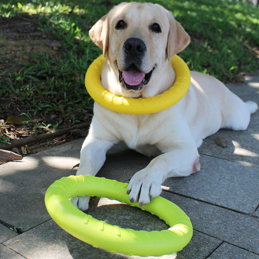 Pet Bite Resistant Puppy Molar Interaction Ring - Waive Savy Pets