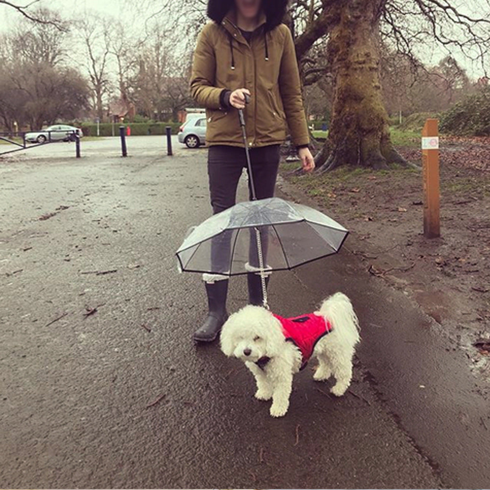 Transparent Pet Umbrella - Waive Savy Pets