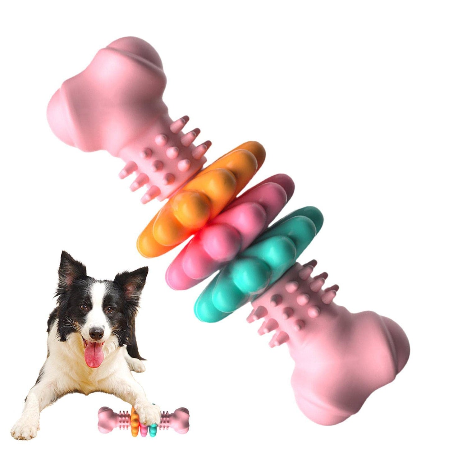 Dog Bone Type Teeth Cleaning Toys - Waive Savy Pets