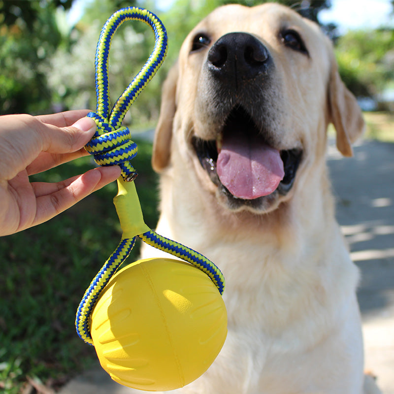 Pet Bite Resistant Puppy Molar Interaction Ring - Waive Savy Pets