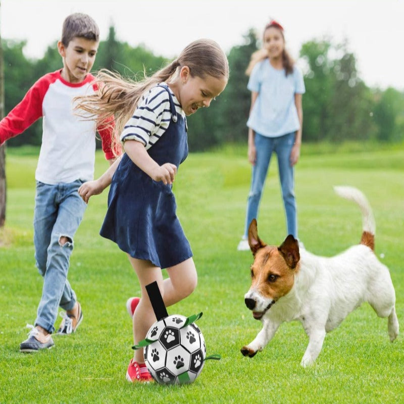 Interactive Pet Football Toys - Waive Savy Pets