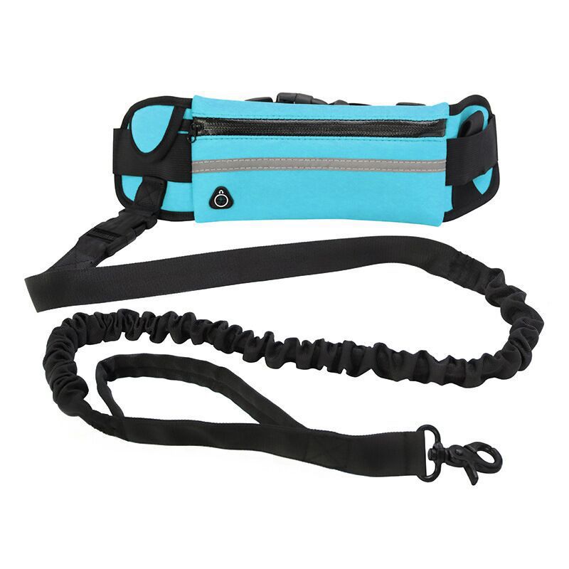 Pet Purse Leash For Walking - Waive Savy Pets