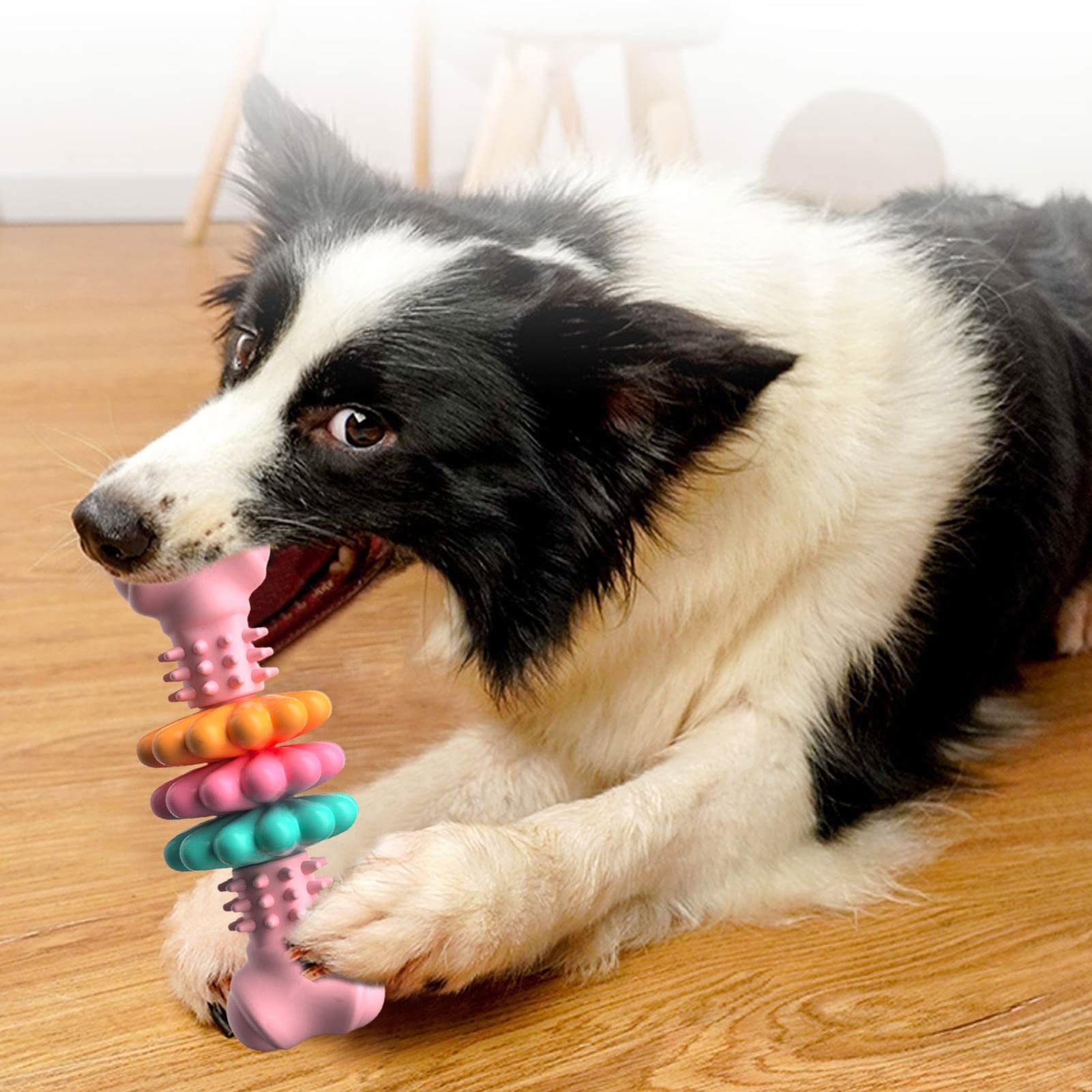 Dog Bone Type Teeth Cleaning Toys - Waive Savy Pets