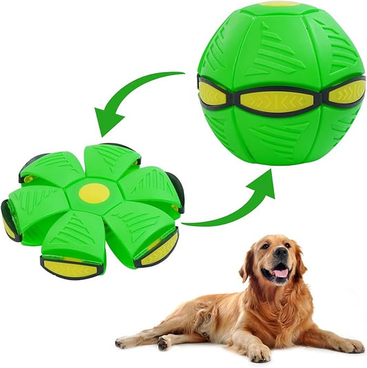 Pet Flying Saucer Ball Interactive Toys - Waive Savy Pets