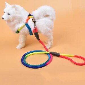 dog leash harness
