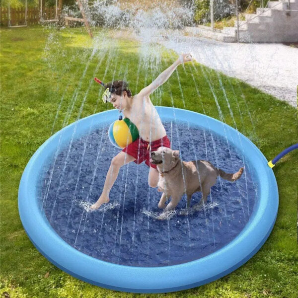 dog pool
