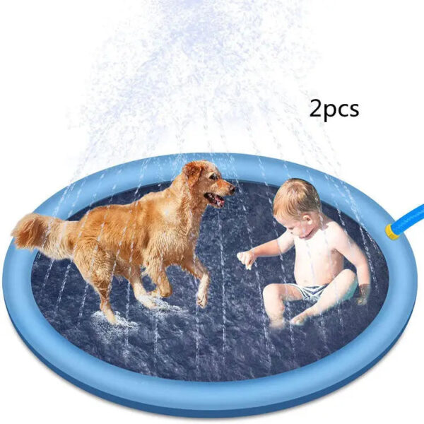 dog pool - Image 14