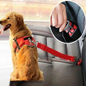 dog car seat belt