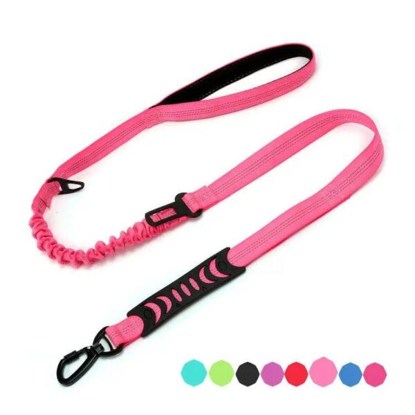 dog running leash - Image 9