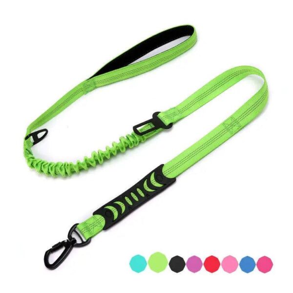 dog running leash - Image 5