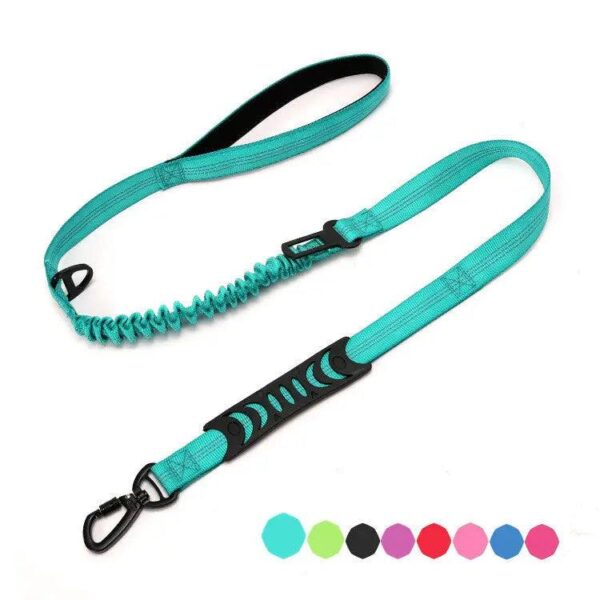 dog running leash - Image 11