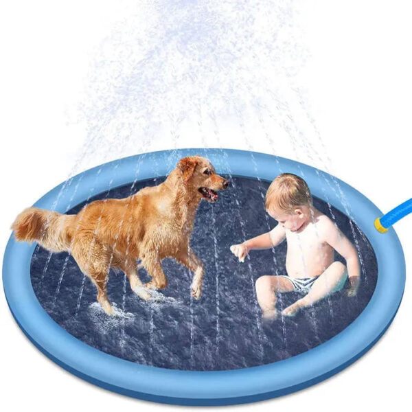 dog pool - Image 11