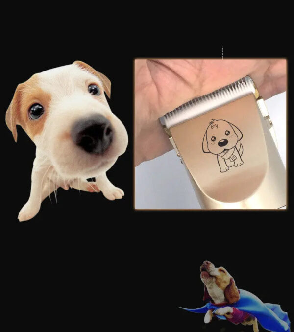 dog hair trimmer - Image 5