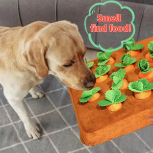 carrot dog toy